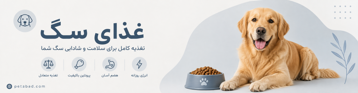 بنر غذای سگ در سایت پت آباد غذای سگ | پت آباد | Petabad