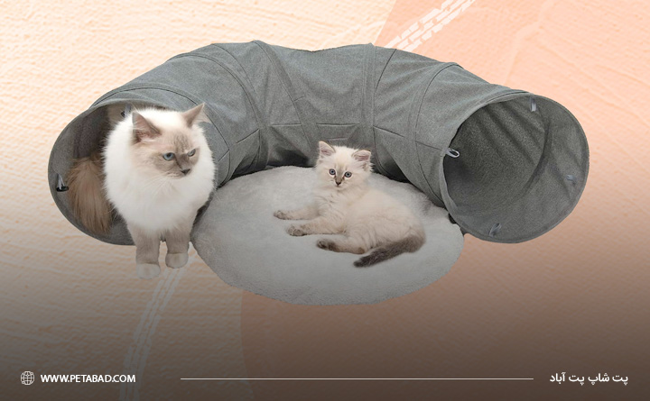 تونل بازی گربه