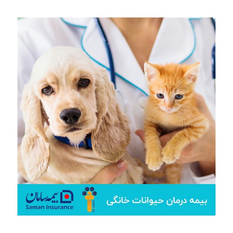 تبلیغاتی بیمه یکساله درمان حیوانات خانگی سامان 