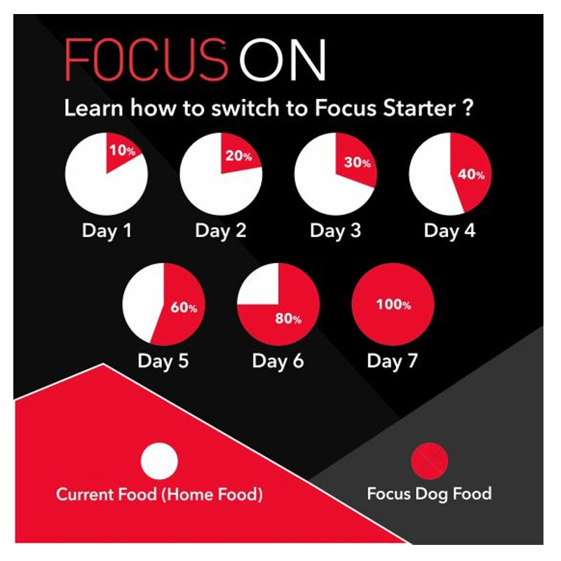  عکس جزییات غذای خشک سگ درولز مدل Focus Starter وزن 1.2 کیلوگرم 