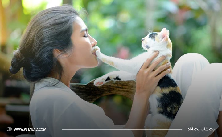 رفتار درست هنگام هدیه آوردن گربه