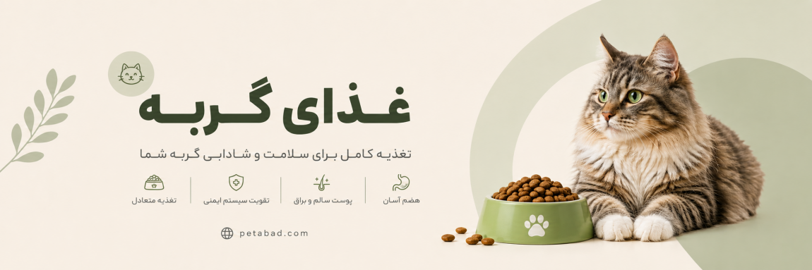 غذای گربه | پت آباد | Petabad