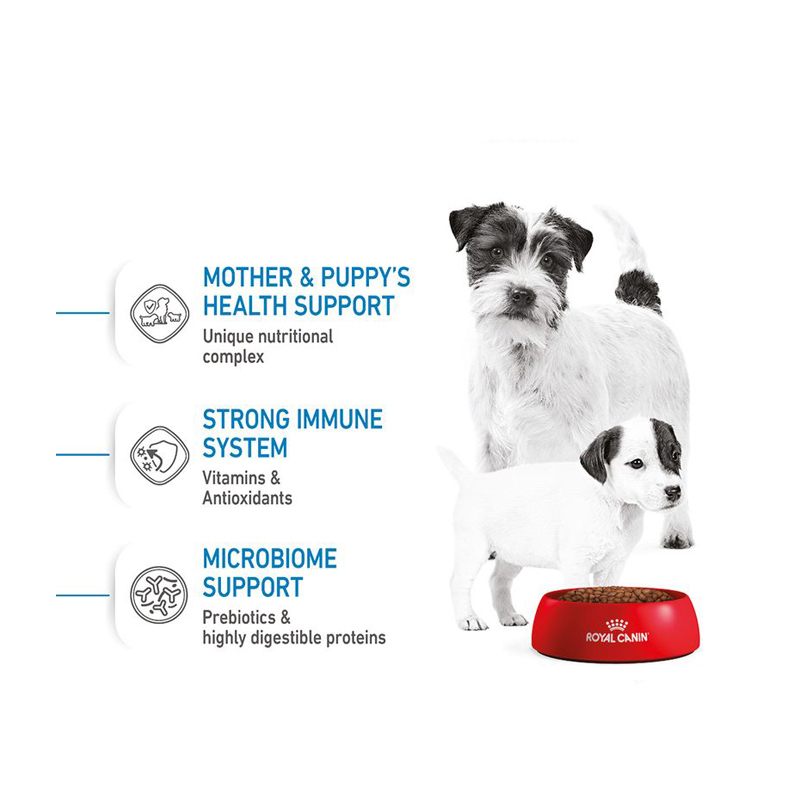  تصویر ویژگی های 3 غذای خشک مادر و بچه سگ رویال کنین Royal Canin Mini Starter Mother & Babydog وزن 4 کیلوگرم 