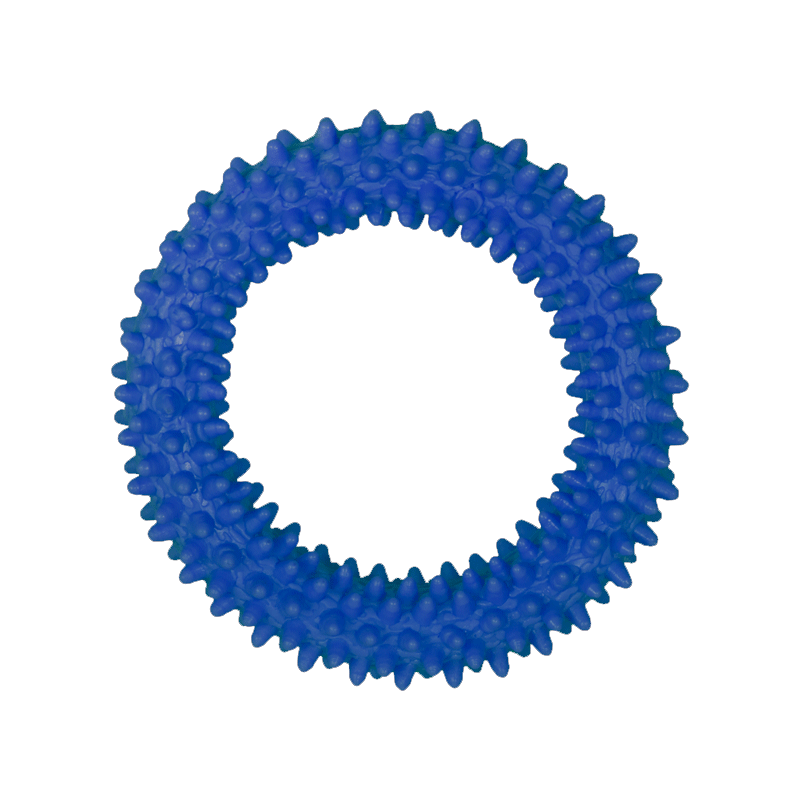  تصویر نمای بالا اسباب بازی دندانی سگ هپی پت مدل دایان رنگ آبی 