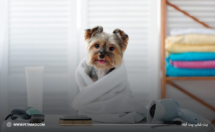 خشک کردن سگ بعد از حمام