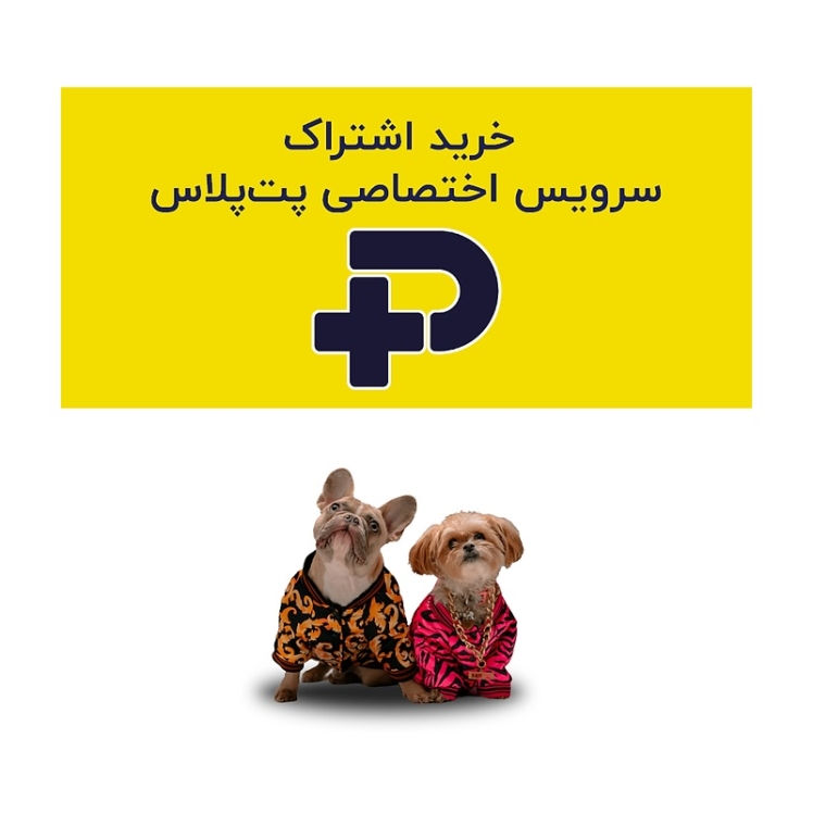 عکس اطلاعات اشتراک اختصاصی پت پلاس