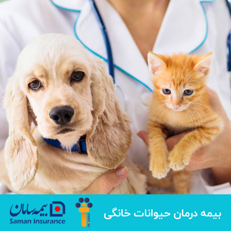 عکس تبلیغاتی بیمه یکساله درمان حیوانات خانگی سامان