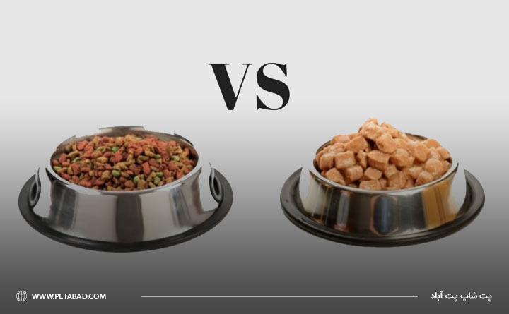 تفاوت غذای خشک و مرطوب سگ