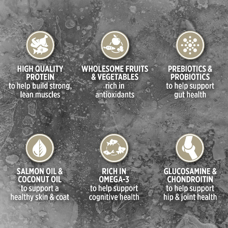  تصویر جزئیات غذای خشک گربه نوترینس با طعم ماهی و اردک Nutrience Subzero Northern Lakes وزن 2.27 کیلوگرم 