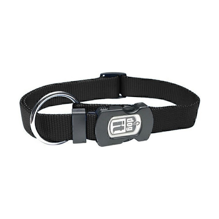عکس قلاده گردنی تسمه ای بدون لید سگ هاگن Hagen Dogit Nylon Collar Without Leash سایز L رنگ آبی