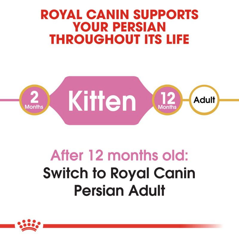  عکس توضیحات غذای خشک گربه رویال کنین مدل Kitten Persian وزن 2 کیلوگرم 