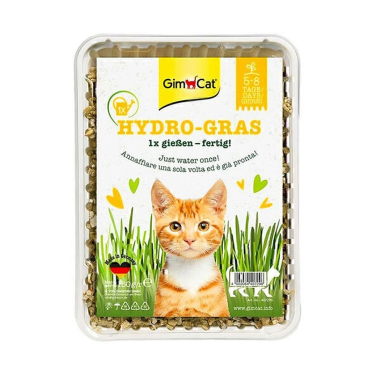 عکس مرحله آبیاری بذر علف گربه با یک بار آبیاری جیم کت GimCat Cat Hydro-Gras