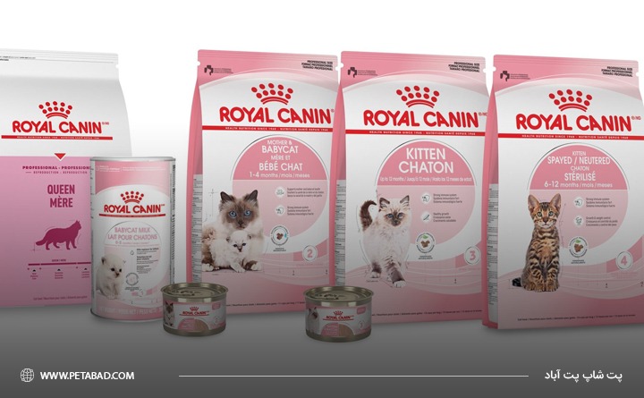 بهترین برند غذای گربه خارجی: رویال کنین