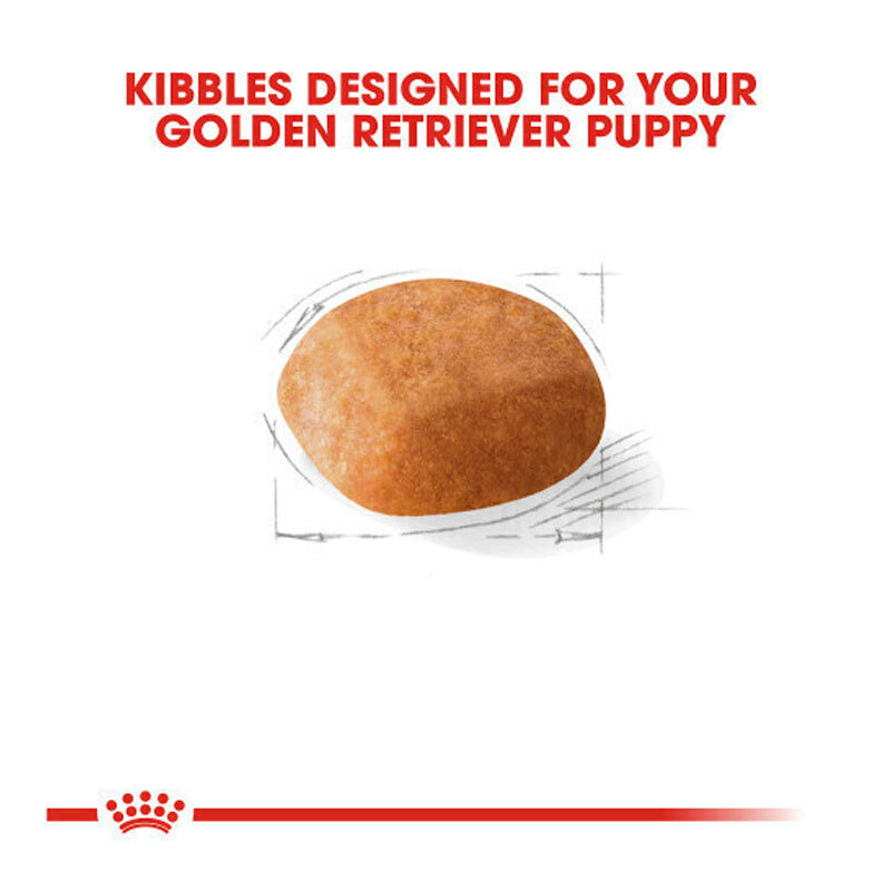  تصویر محتویات غذای خشک توله سگ گلدن رتریور رویال کنین Royal Canin Golden Retriever Puppy وزن 12 کیلوگرم 