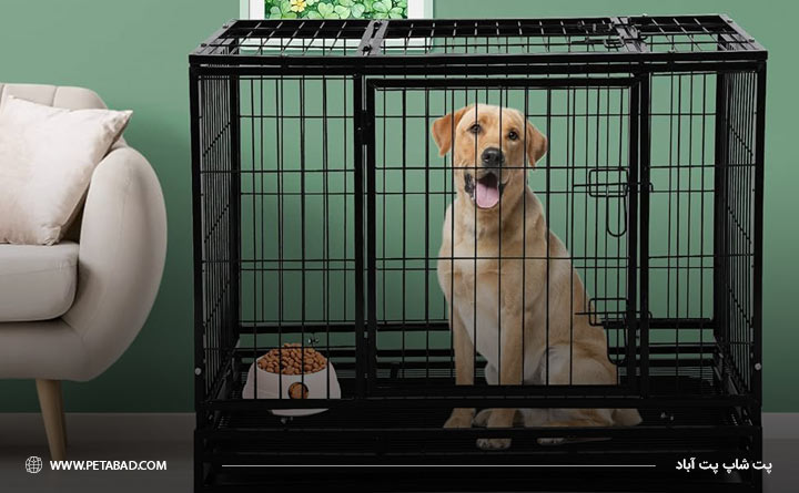 قفس سگ برای یاد دادن دستشویی او