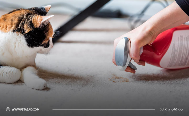 تمیز کردن کثیفی و محل ادرار گربه
