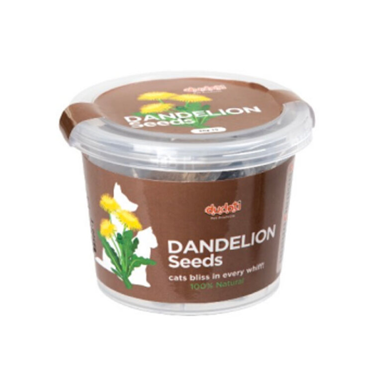 تصویر بذر گل دندلیون سگ و گربه دودوتی Dudoti Dandelion Seeds وزن 80 گرم