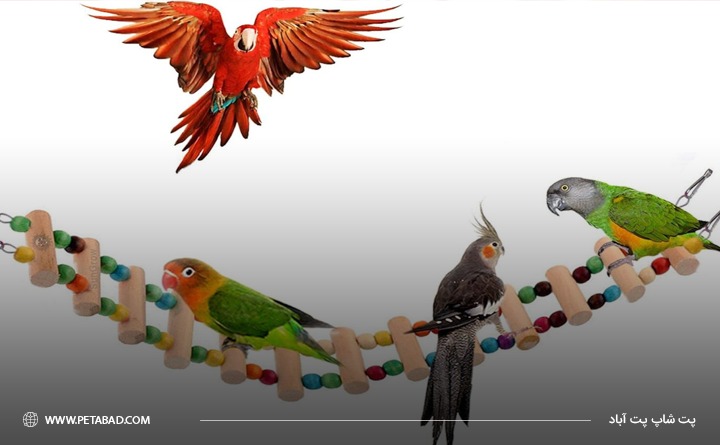 انواع اسباب بازی پرندگان