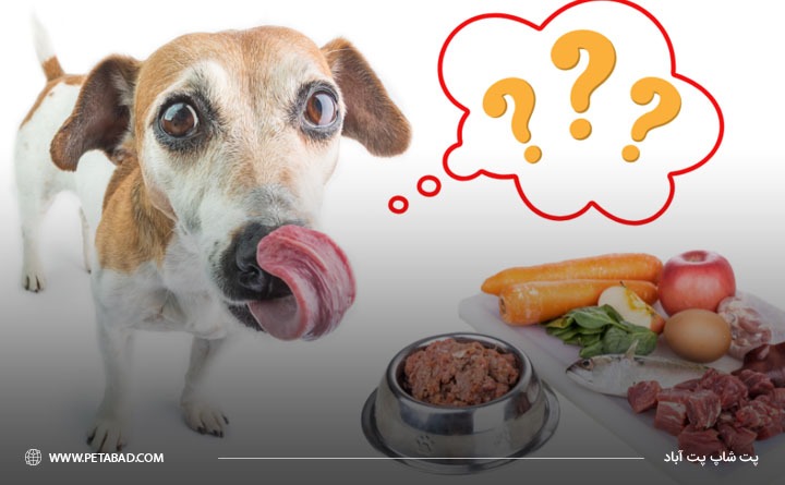 آیا به سگم میوه بدهم؟