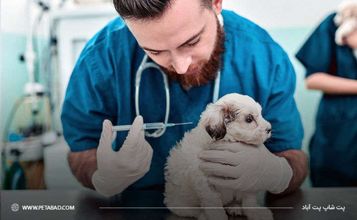 پیشگیری از اسهال سگ با واکسن 