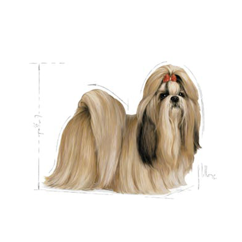  عکس تبلیغاتی غذای خشک سگ رویال کنین مدل Adult Shih Tzu وزن 1.5 کیلوگرم 