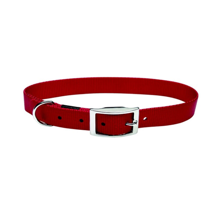 عکس قلاده گردنی تسمه ای سگک دار بدون لید سگ هاگن Hagen Dogit Nylon Collar with Buckle سایز XL رنگ قرمز