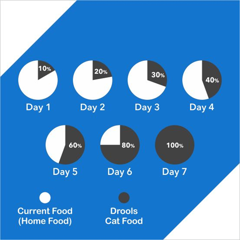  راهنمای تغذیه غذای خشک گربه درولز مدل Kitten Ocean Fish وزن 4 کیلوگرم 