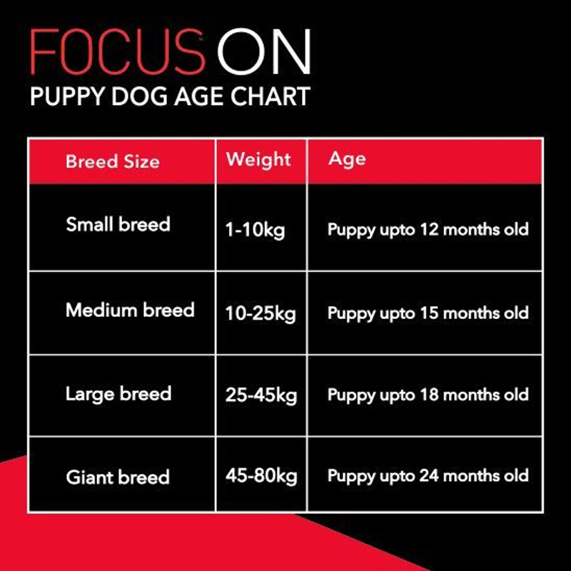  عکس راهنمای تغذیه غذای خشک سگ درولز مدل Focus Puppy وزن 4 کیلوگرم 