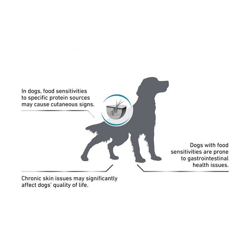  تصویر توضیحات غذای خشک سگ رویال کنین Royal Canin Anallergenic وزن 3 کیلوگرم 