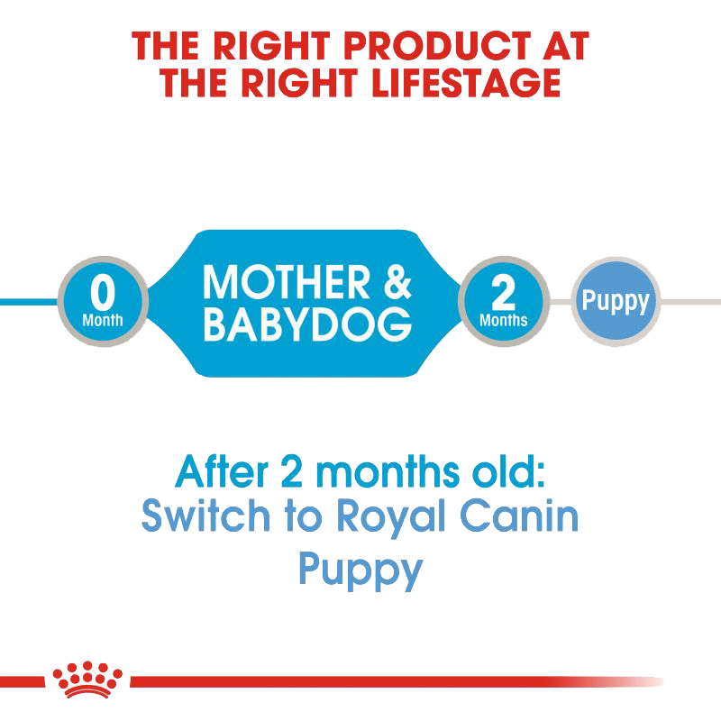  عکس توضیحات کنسرو غذای سگ رویال کنین مدل Starter Mother & Babydog وزن ۱۹۵ گرم 