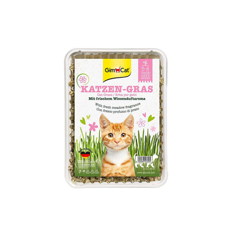 عکس بسته بندی بذر علف گربه با رایحه طبیعی جیم کت GimCat Cat Katzen-Gras وزن 100 گرم