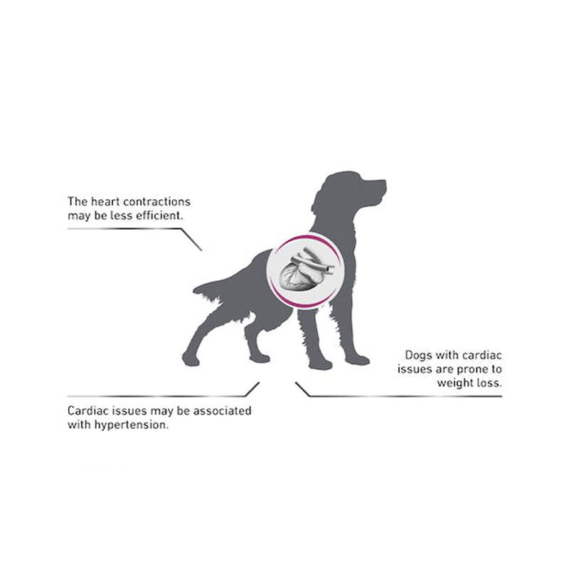  تصویر مزایای غذای خشک سگ رویال کنین مدل Royal Canin Cardiac وزن 2 کیلوگرم 