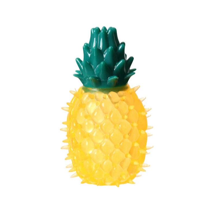 تصویر طرح آناناس اسباب بازی دندانی سگ سیلیکونی طرح میوه پت سرکل Petcircle Dog Fruit Chewing Toy