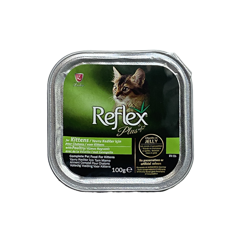 reflex plus kitten