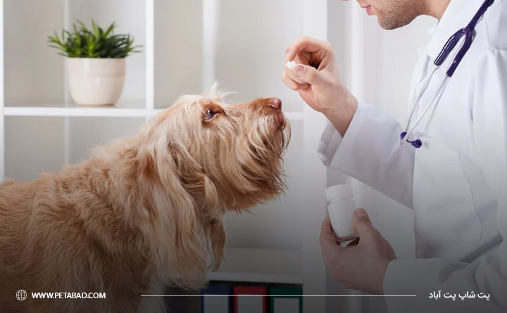 داروهای پیشگیری‌کننده برای بیماری کرم قلب در سگ