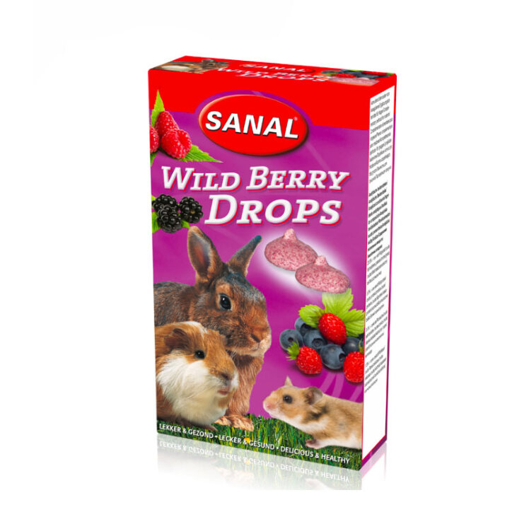 تصویر تشویقی جوندگان سانال با طعم شاتوت Sanal Wild Berry Fruities Rodents وزن 45 گرم