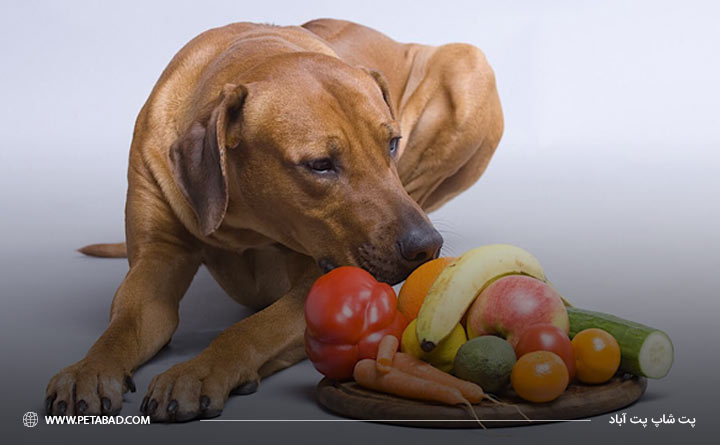 استفاده از میوه و سبزیجات تازه برای جلوگیری از بیماری دیابت در سگ