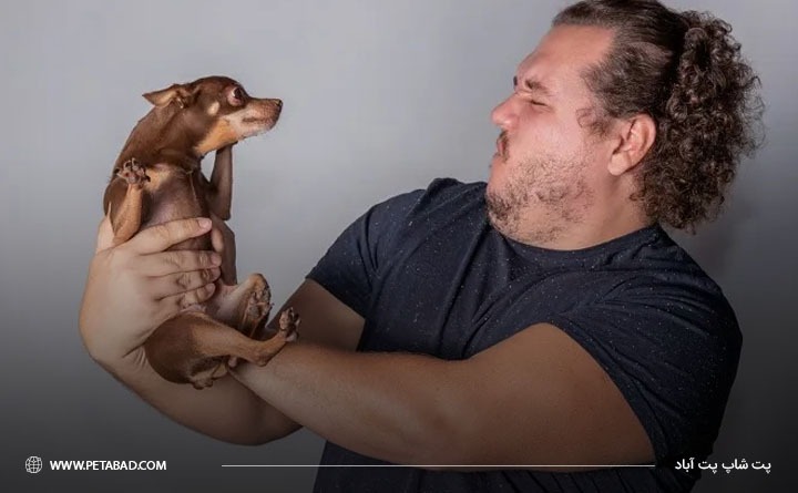 آموزش تمیز کردن گوش سگ و تشخیص بهترین زمان آن