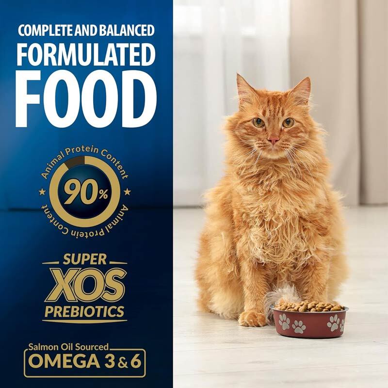  عکس تبلیغاتی غذای خشک گربه بالغ با طعم ماهی سالمون رفلکس پلاس Reflex Plus Adult Salmon وزن 15 کیلوگرم 
