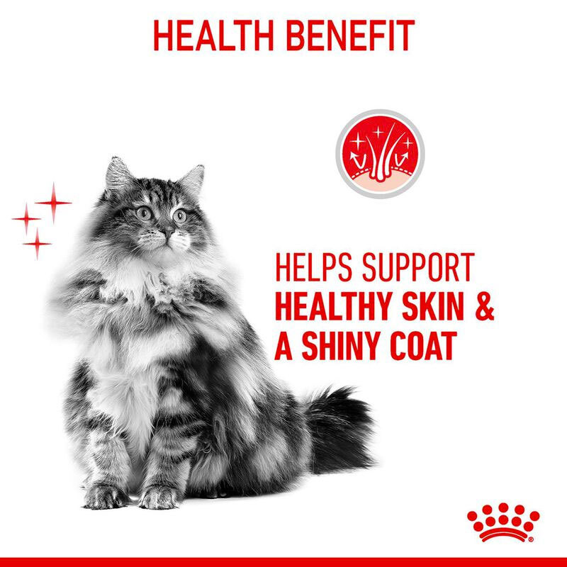  عکس تبلیغاتی به همراه دیتیل غذای خشک گربه مراقبت از پوست و مو رویال کنین Royal Canin Hair & Skin Care وزن 2 کیلوگرم 