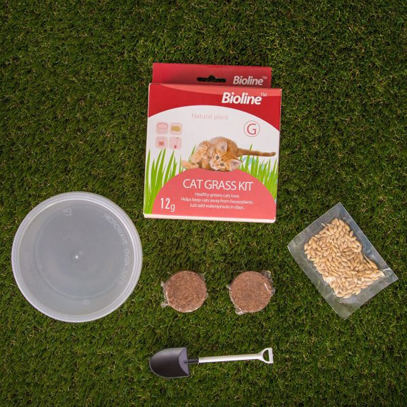  تصویر محتویات کیت علف گربه بایولاین Bioline Cat Grass Kit وزن 12 گرم 