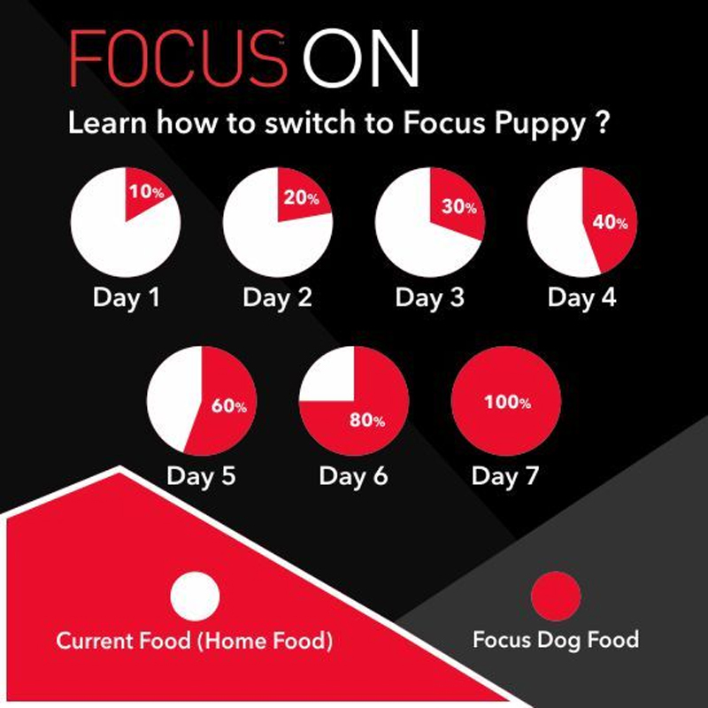  عکس راهنمای غذای خشک سگ درولز مدل Focus Puppy وزن 4 کیلوگرم 