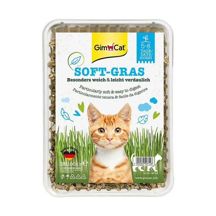 عکس مرحله اضافه کردن آب به بذر علف گربه جیم کت GimCat Cat Soft-Gras