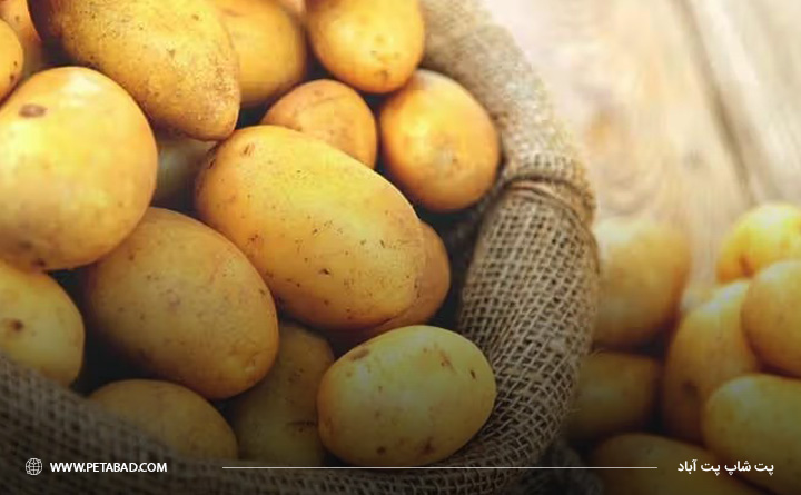 سیبزمینی خام