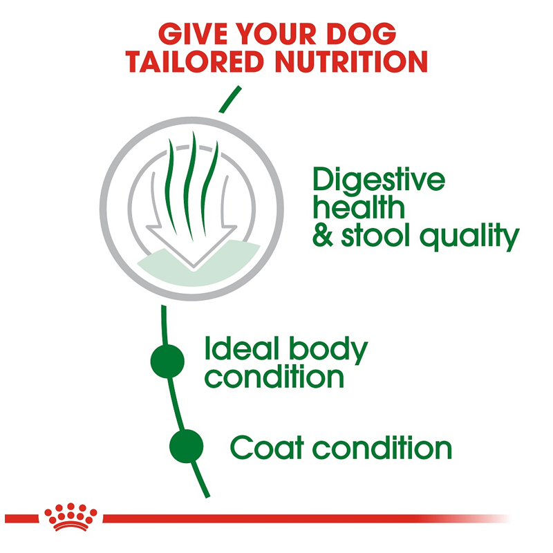  عکس توضیحات غذای خشک سگ رویال کنین مدل Mini Indoor Adult وزن 1.5 کیلوگرم 