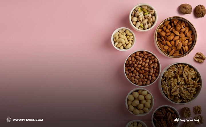 فواید و مزایای آجیل برای سگ