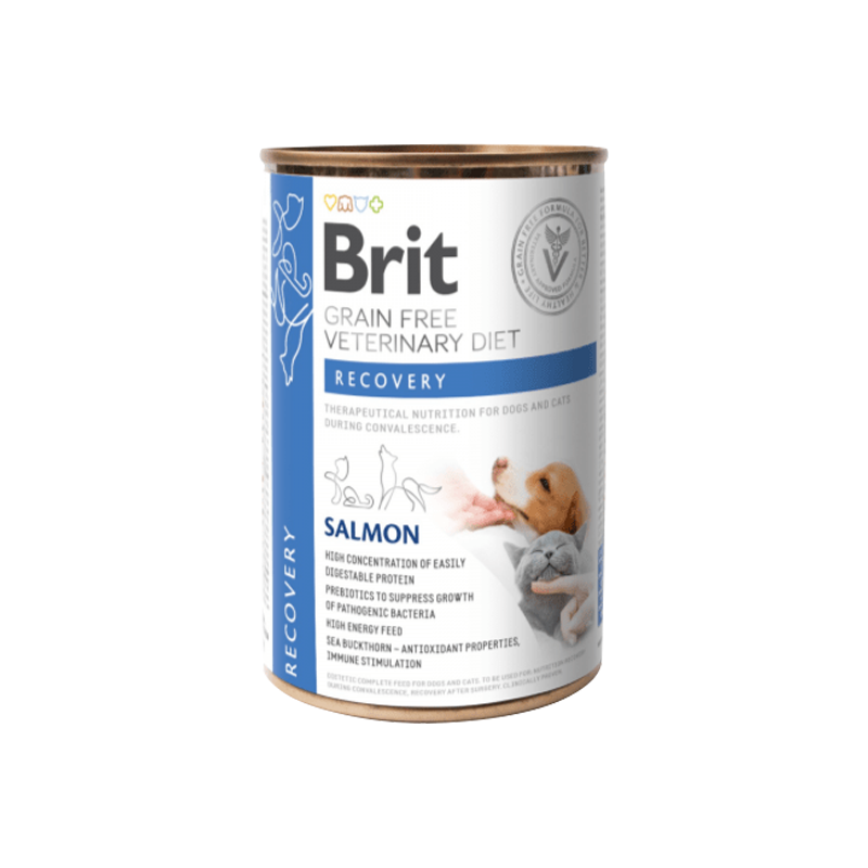 brit renal dog food