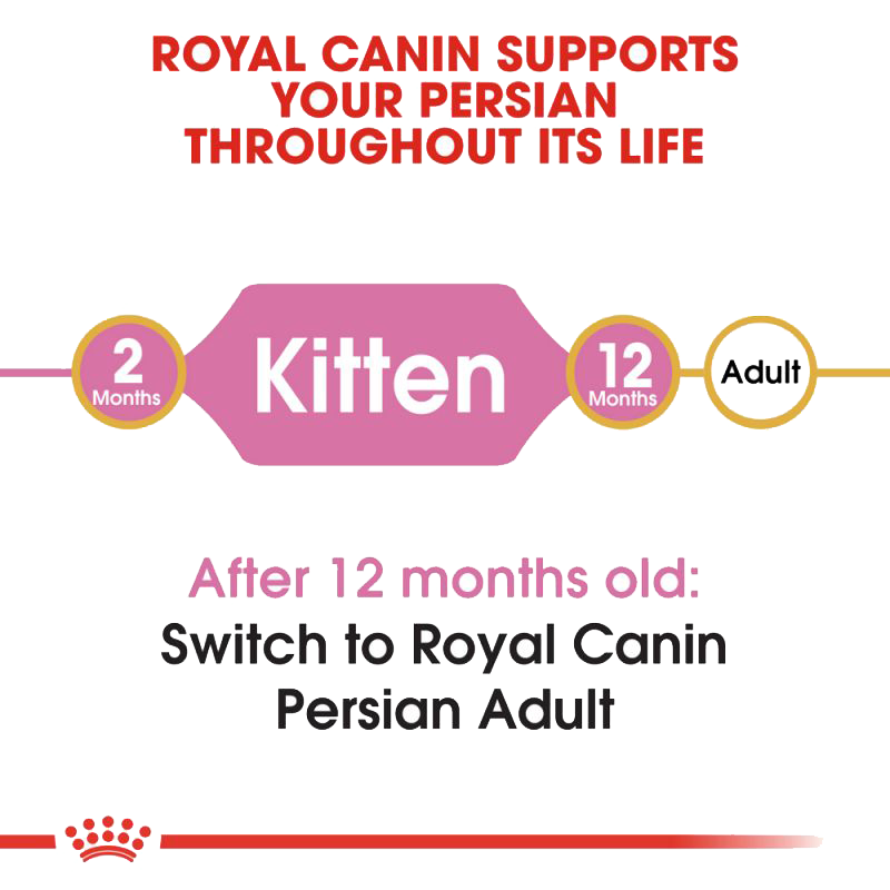  عکس جزییات غذای خشک گربه رویال کنین مدل Kitten Persian وزن ۴۰۰ گرم 