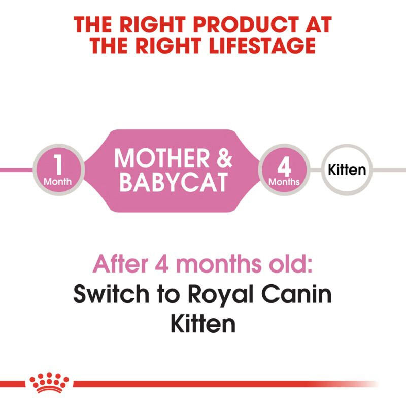  اینفوگرافی غذای خشک مادر و بچه گربه رویال کنین Royal Canin Mother & Babycat وزن 4 کیلوگرم 
