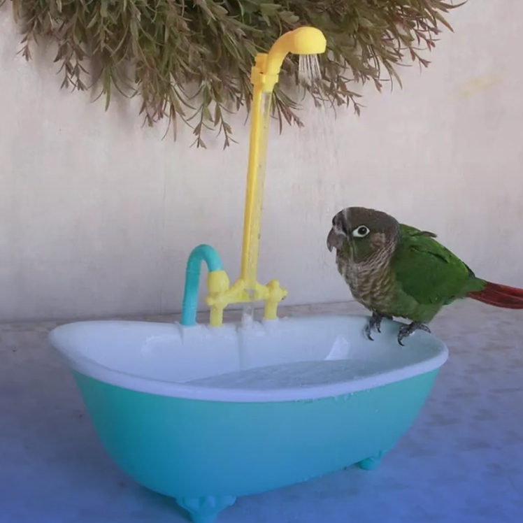 آموزش حمام کردن پرندگان